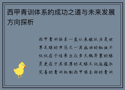 西甲青训体系的成功之道与未来发展方向探析