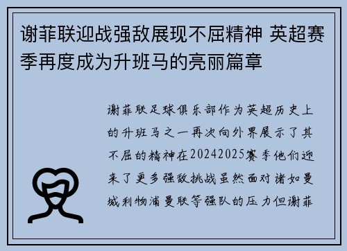 谢菲联迎战强敌展现不屈精神 英超赛季再度成为升班马的亮丽篇章 谢菲联迎战强敌展现不屈精神 英超赛季再度成为升班马的亮丽篇章